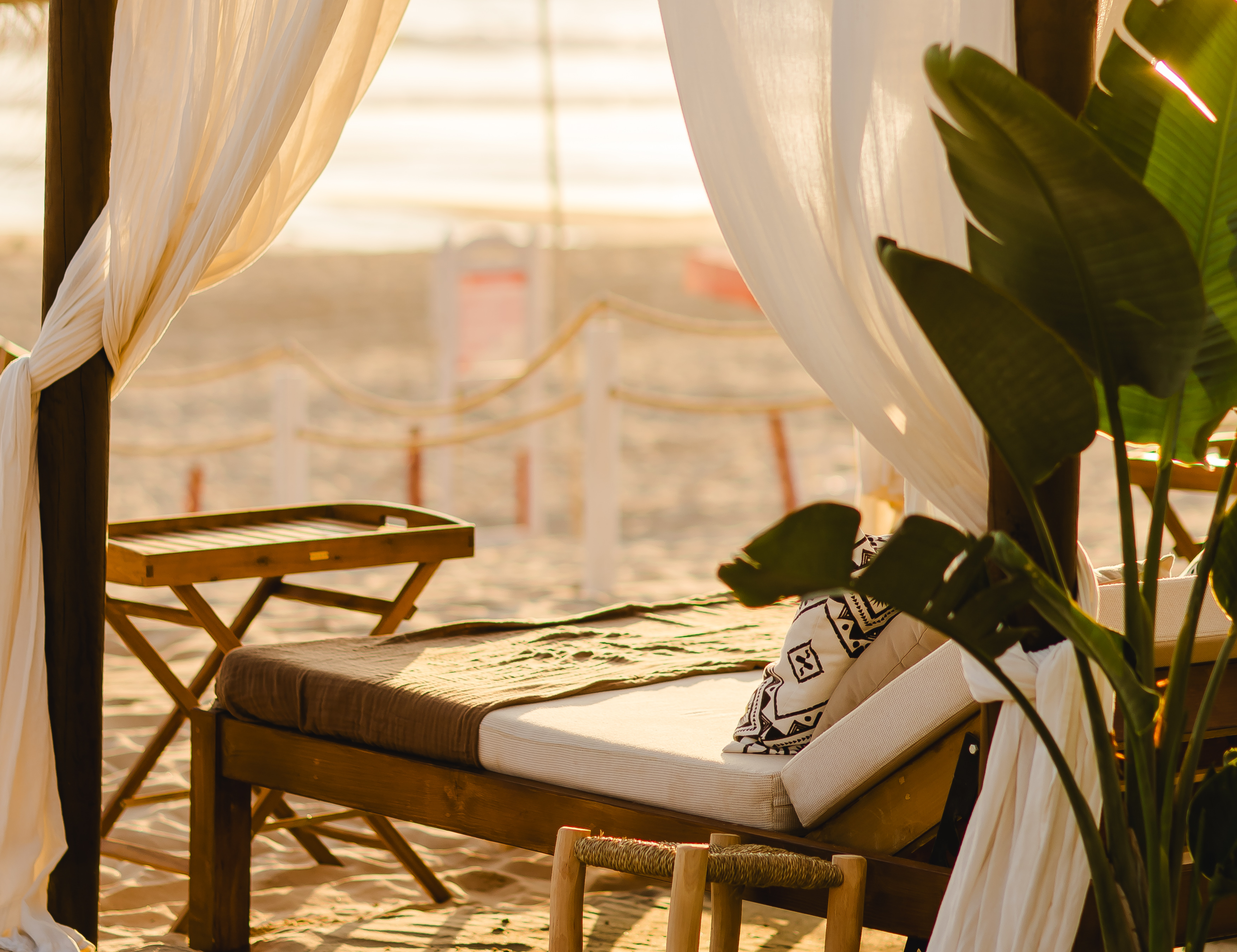 Canopy Beds