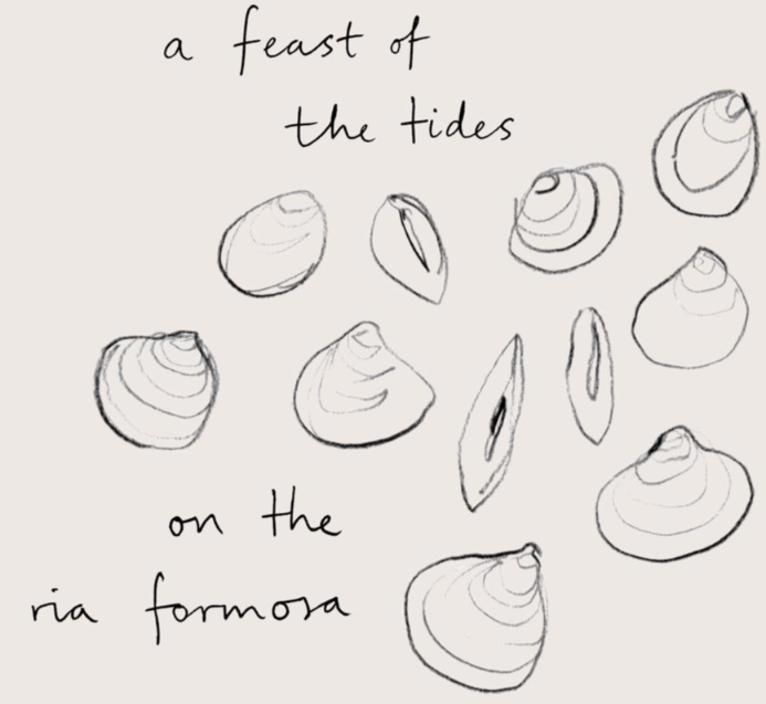 A Feast of the Tides on the Ria Formosa