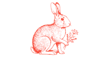 Dinner and Wine Pairing