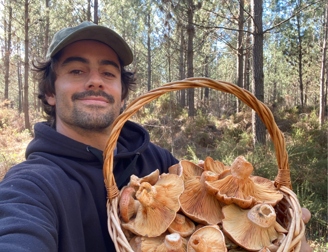 OSTRA DA TERRA